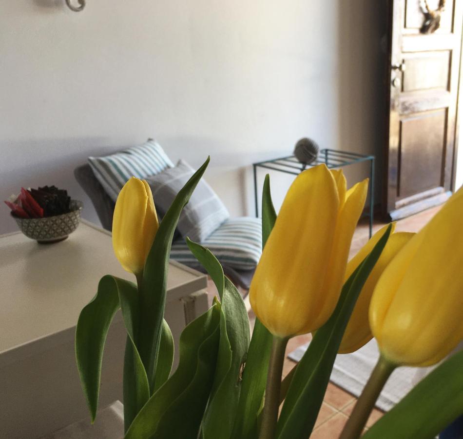 Cochili Rooms & Apartments アゾリムノス エクステリア 写真